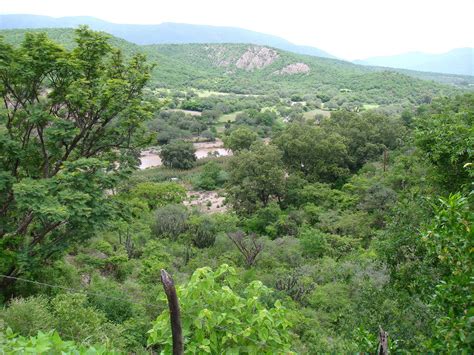 Carretera Vieja Rioverde A Slp Sierra De Lvarez M X Flickr