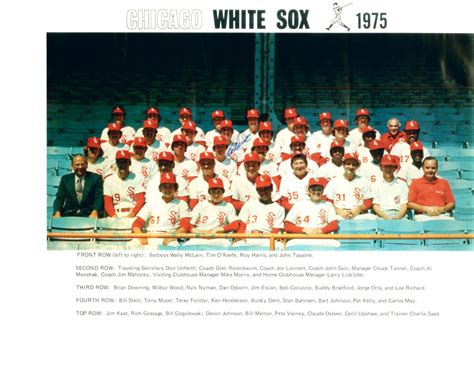 Chicago White Sox Team X Photo Downing Kaat Baseball Illinois