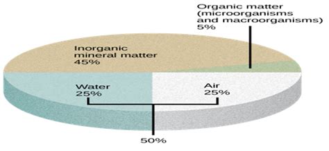 Soil Fertility: Factors Affecting Soil Fertility, and Biodiversity ...