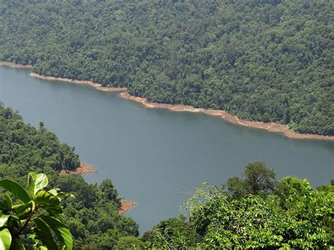 A large body of water surrounded by trees. Western ghats sharavati ...