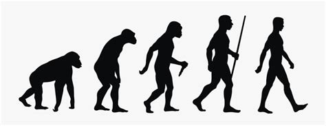 Human Evolution Png - Monkey To A Man , Free Transparent Clipart - ClipartKey