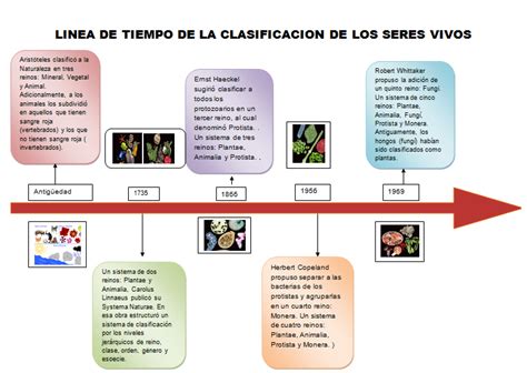 El Maravilloso Mundo De Los Seres Vivos Conozcamos Historia De La Clasificación De Los Seres Vivos