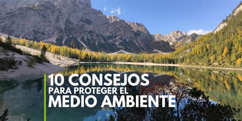 Los 10 Mejores Consejos Para Proteger El Medio Ambiente