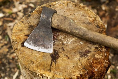 Close up wood chopping axe stock image. Image of stump - 231657677