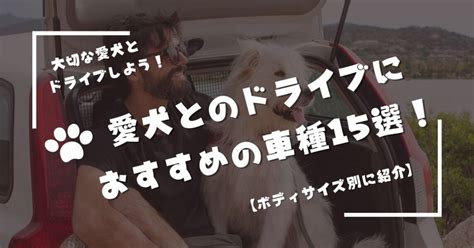 大切な愛犬とのドライブにおすすめの車種15選！【ボディサイズ別に紹介】 Nao Blog