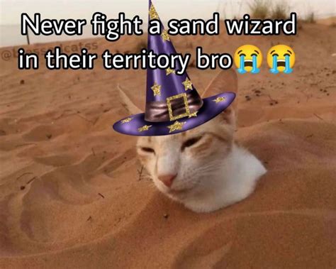 Fuck It We Bawl Electoons