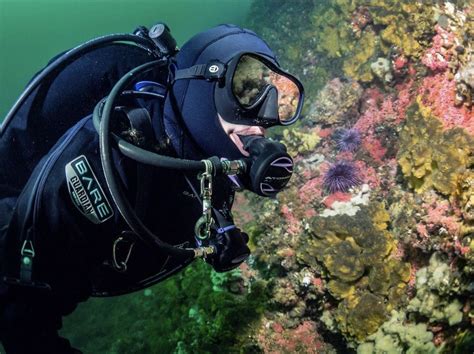 Scuba Diving Women Diving Woman