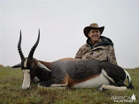 Bontebok Hunt South Africa