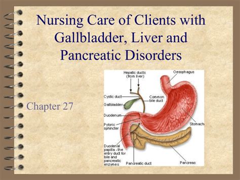 Nursing Care Of Clients With Gallbladder Liver And Pancreatic