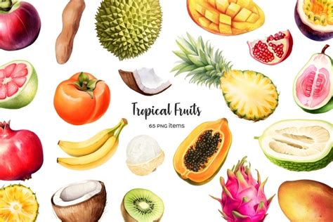 Watercolor Tropical Fruit Clipart Exotic Fruits Clipart