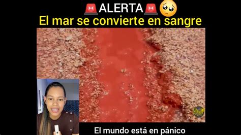 ALERTA EL MAR SE CONVIERTE EN SANGRE Y CAUSA MUCHO PÁNICO YouTube