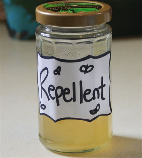 Homemade All-Natural Mosquito Repellent | a good tired.