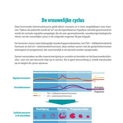 Cyclus En Menstruatie Voorlichtingsles