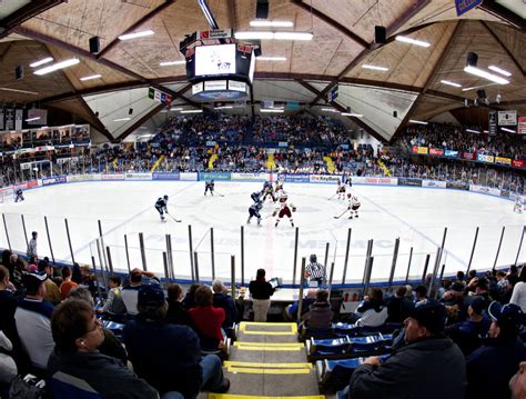 Maine Black Bears Hockey East Association