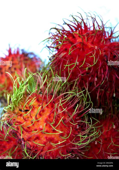 Tropical Fruit Rambutan Stock Photo Alamy