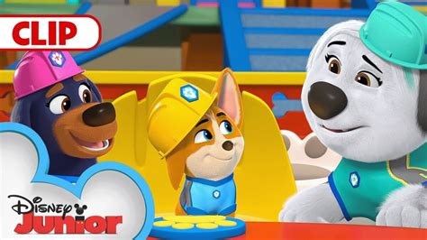 New Episodes of 'Pupstruction' Season 1 Coming To Disney+ (US) - Disney Plus Informer