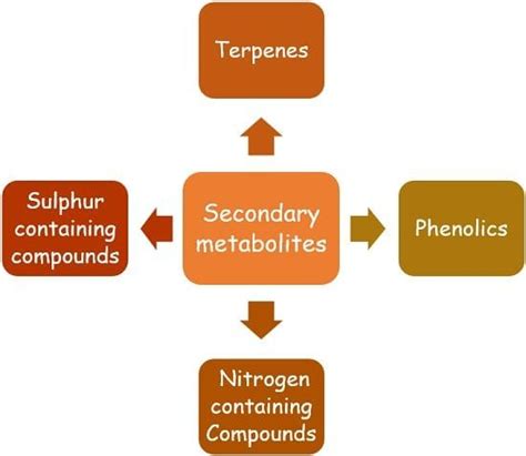 Difference Between Primary Metabolites and Secondary Metabolites (with Comparison Chart) - Bio ...