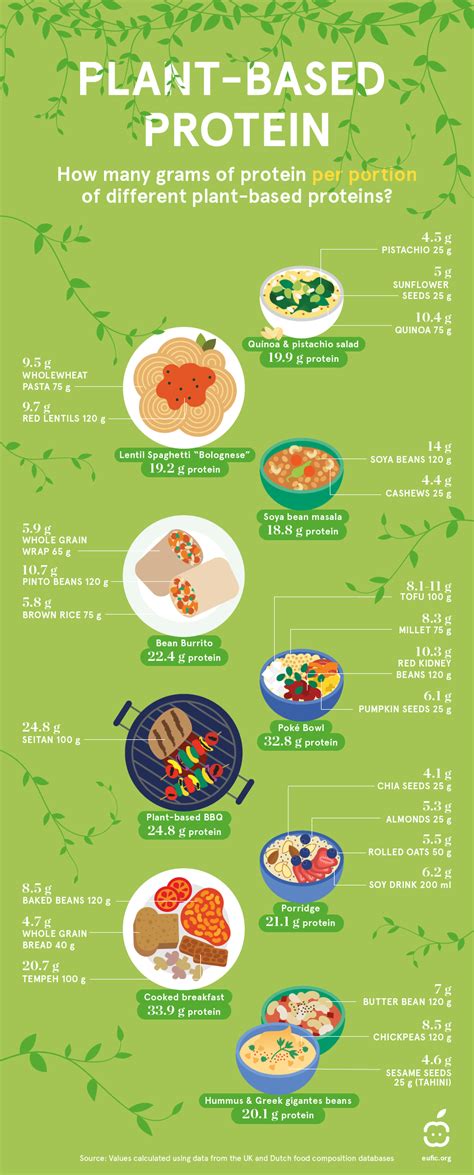 Plant-based protein sources for vegans and vegetarians (infographic ...