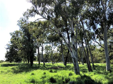 Protection Of Coastal And Freshwater Wetlands Redlands2030