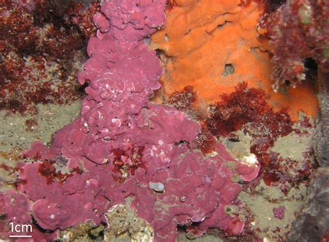 Geheimnisvolle Grotten | Young Science