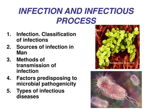 PPT INFECTION AND INFECTIOUS PROCESS PowerPoint Presentation Free