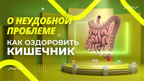 Пурифилакс от завода Витаукт: зачем нужен и как применять - YouTube