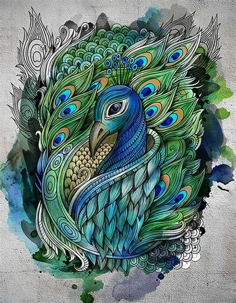 Peacock Drawing Sketch At Getdrawings Free Download