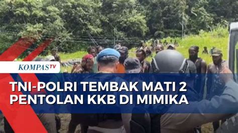 Tni Polri Tembak Mati Dua Anggota Kkb Di Mimika Senjata Dan Amunisi Disita