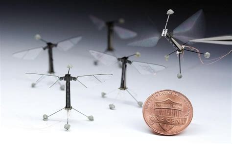 Insect Drones: The Rise of the Microdrones