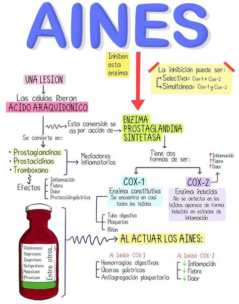 El Mecanismo De Acci N De Los Aines Principalmente Es La Inhibici N De