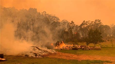 Australia Fires Smoke Turns New Zealand Skies Eerie Yellow Bbc News