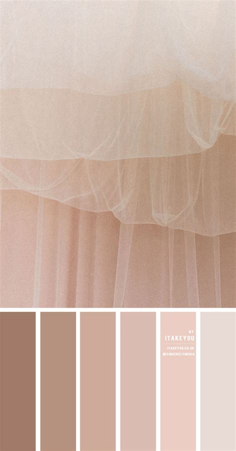 Nude Colour Scheme What Are Nude Colours Sample Of Nude Colours