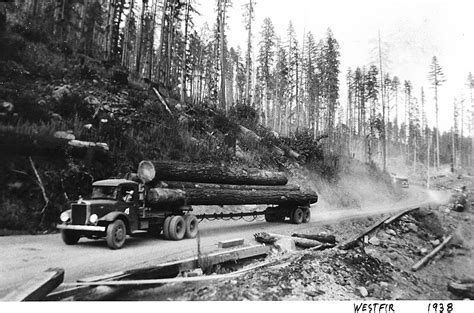 Photos A Tale Of The Northwest S Logging Past Artofit