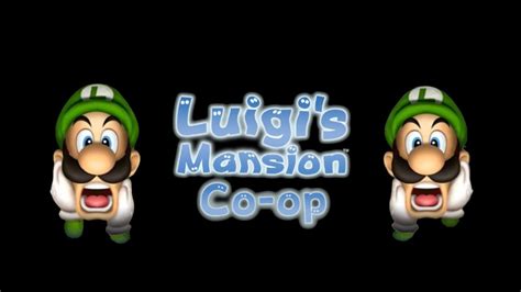 What People Think Will Happen If You Play Luigis Mansion Co Op Youtube