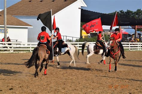 Minnesota 4 H Drill Team Competition