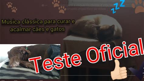 M Sica Para Curar Gato E Cachorro Funciona M Sica Cl Ssica Para