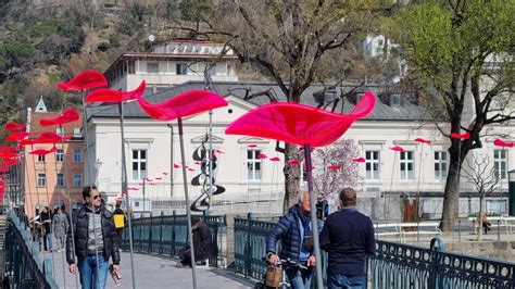 Flower Festival In Meran Italy