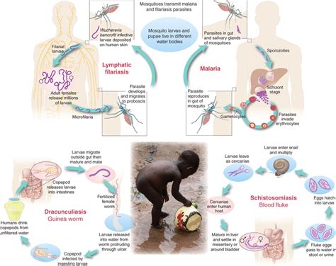 Waterborne Infectious Diseases Could They Be Consigned To History