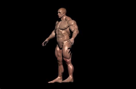 3D Model BODYBUILDER VR AR Low Poly CGTrader