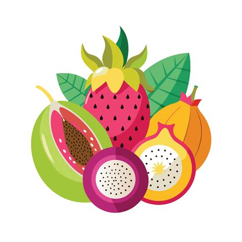 Realistic Fruits Illustration Concepts 47219308 Vector Art at Vecteezy