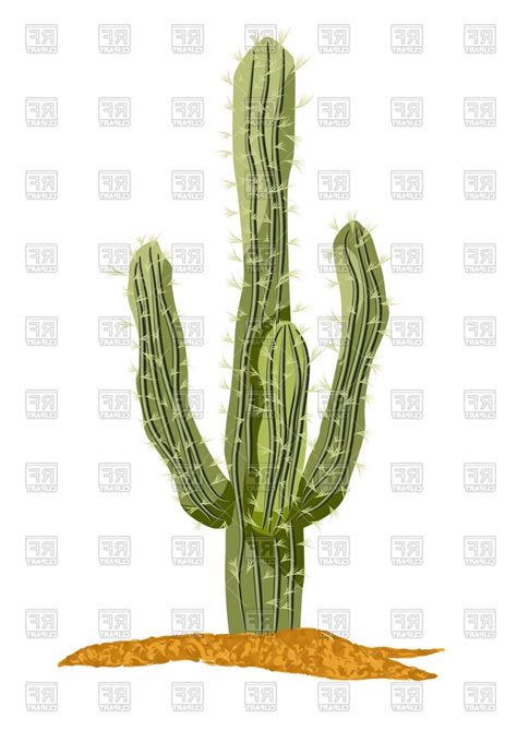 Saguaro Cactus Vector at Vectorified.com | Collection of Saguaro Cactus ...