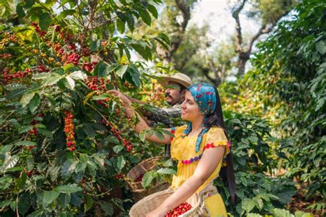 Qué hacer en el Eje Cafetero Civitatis Magazine