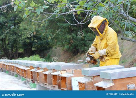 Beekeeper with smoker stock image. Image of honeybee - 26705981