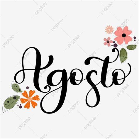 Hola Mes De Agosto Texto Letras A Mano Decoradas Con Flores Y Hojas PNG