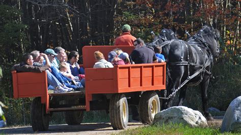 Horse Rides Charmingfare Farm