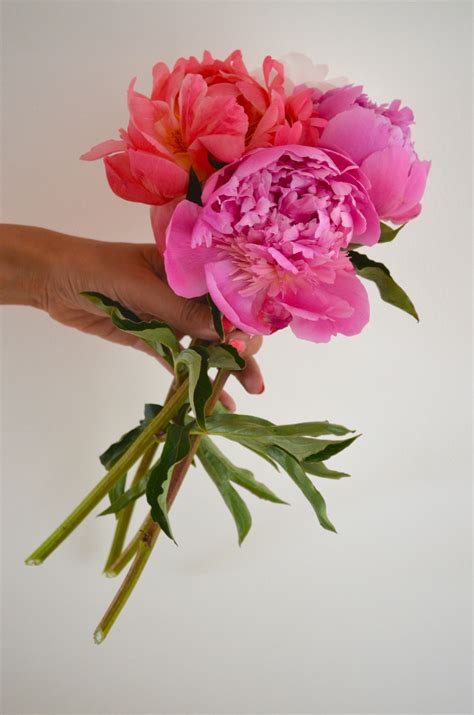 How to Peony Bouquet