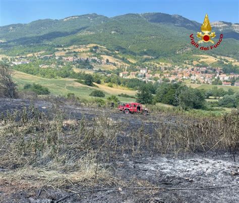 Carpegna Un Ettaro Di Terreni E Bosco In Fiamme L Intervento Dei