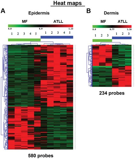 Microarray Analysis Of Gene Expression By Microdissected Epidermis And