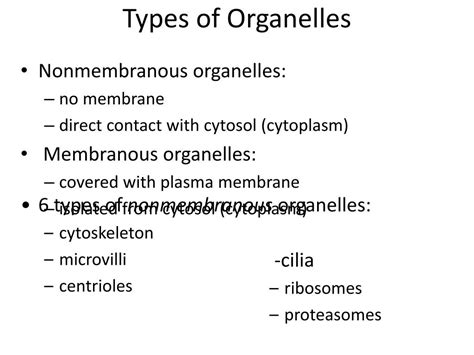 PPT - Organelles PowerPoint Presentation, free download - ID:5996010