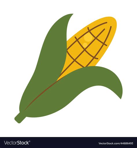 Corn Cob Icon Royalty Free Vector Image VectorStock